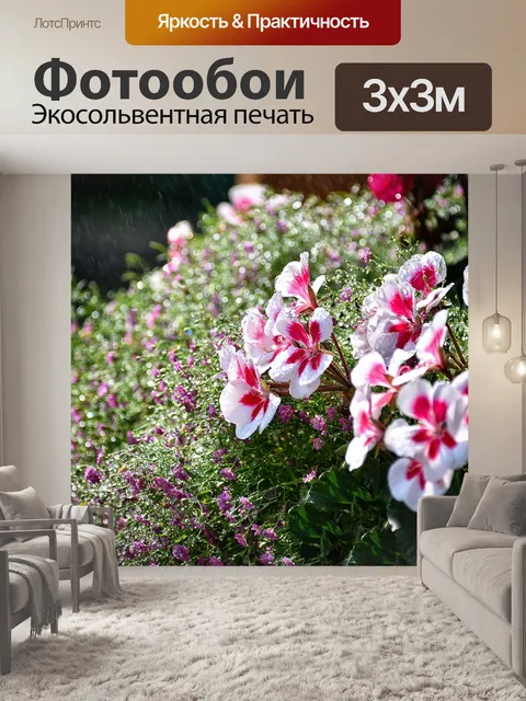 Фотообои Обои на стену