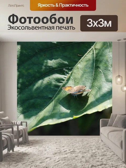 Фотообои Животное