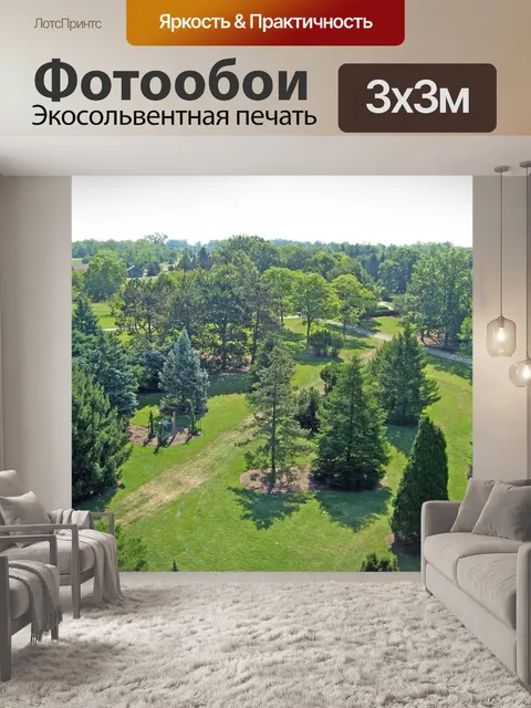 Фотообои Деревья в парке