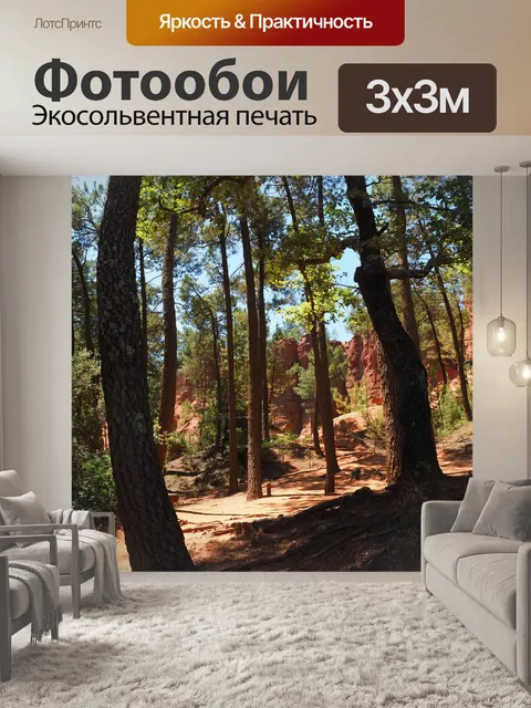 Фотообои Сосновый лес