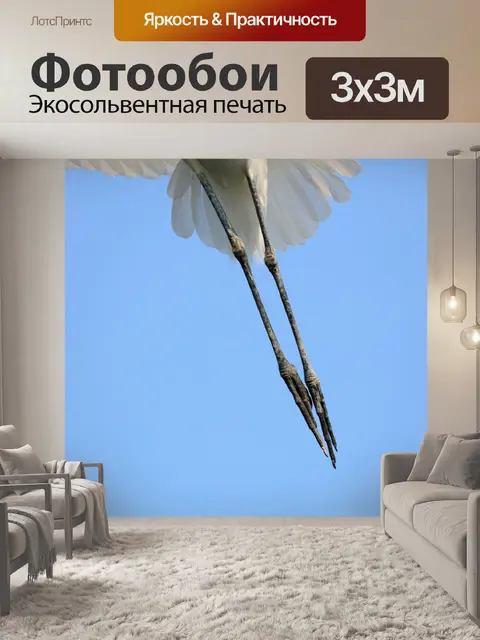 Фотообои Природа