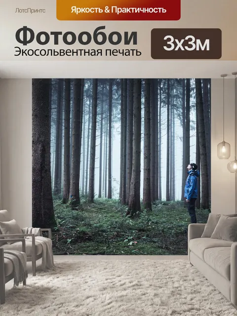 Фотообои Туман