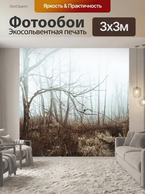 Фотообои Туман