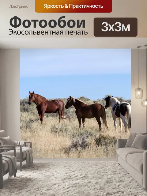Фотообои Лошади