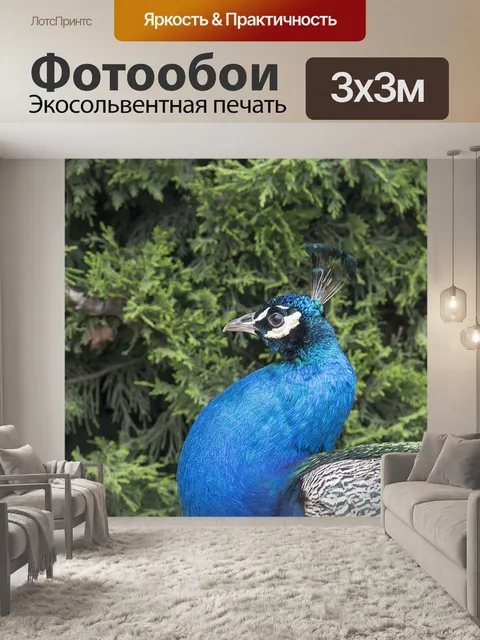 Фотообои Птицы