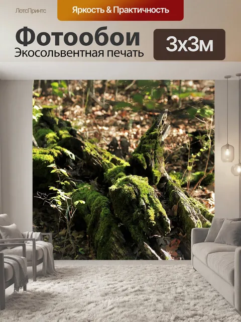 Фотообои Мосс покрыт Вход в лес
