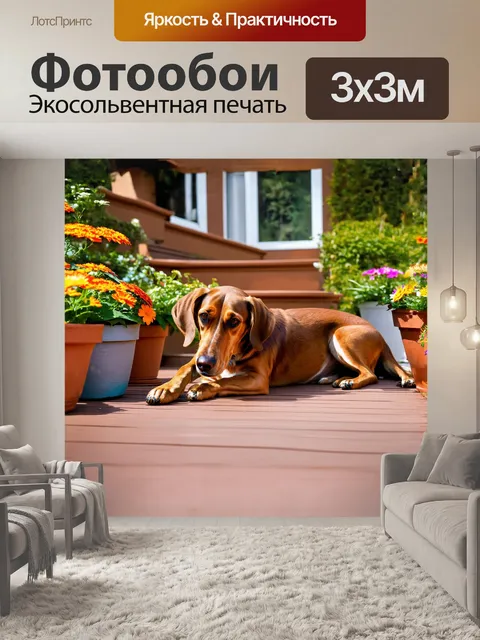 Фотообои описание: гончая, лежащая на теплой деревянной веранде, её уши нежно касаются пола