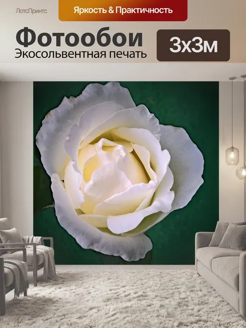 Фотообои Цветок