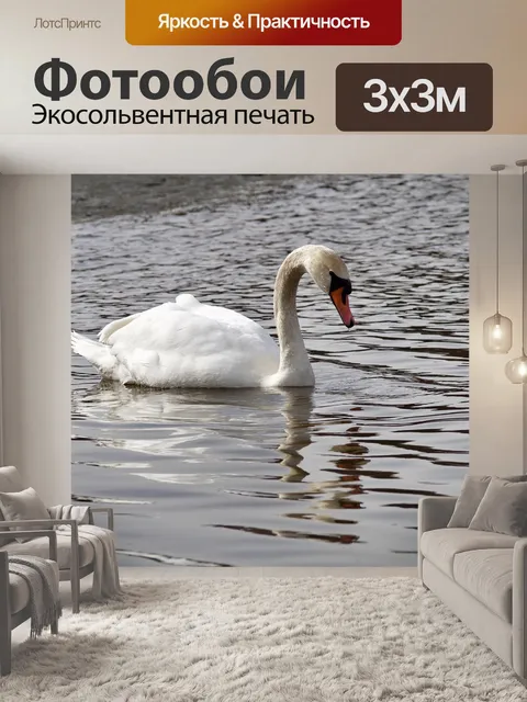 Фотообои Лебеди