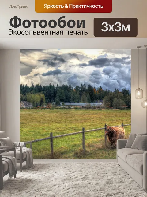 Фотообои Як