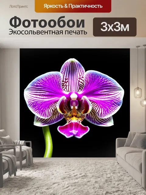 Фотообои орхидея в виде абстрактного искусства, с крошечными деталями и глубокими цветами