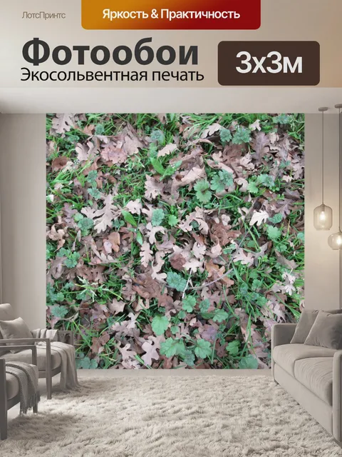 Фотообои Трава и листья 1