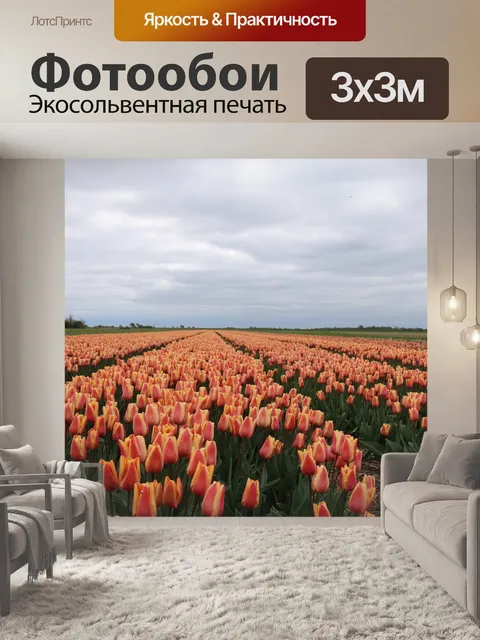 Фотообои Тюльпаны