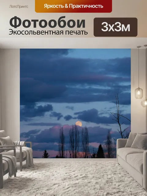Фотообои Полнолуние Закат