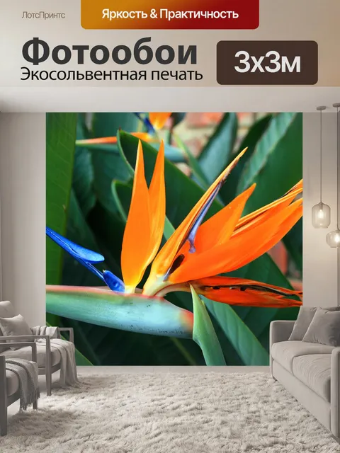 Фотообои Стрелиция цветок и листья