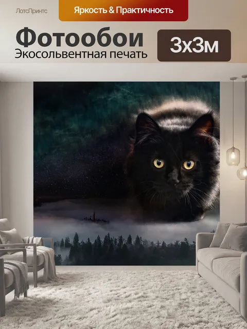 Фотообои Кошка