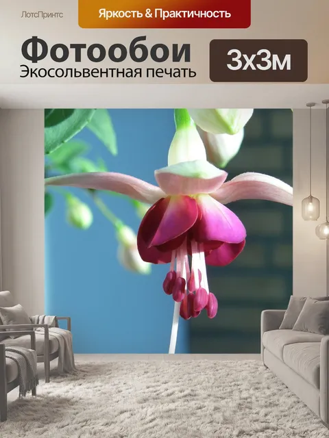 Фотообои Природа