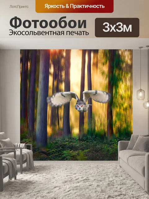 Фотообои Сова