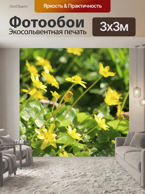 Фотообои Золотая кнопка