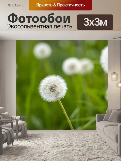 Фотообои Одуванчик