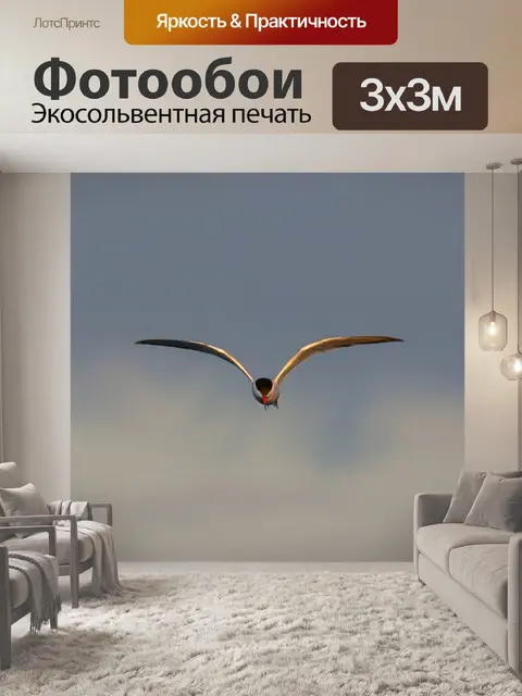 Фотообои Полярная крачка