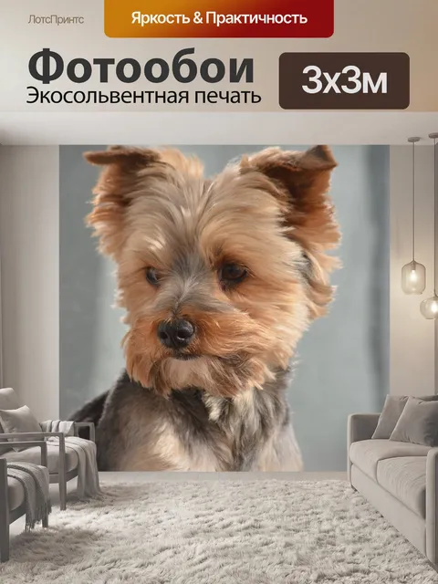 Фотообои Собака