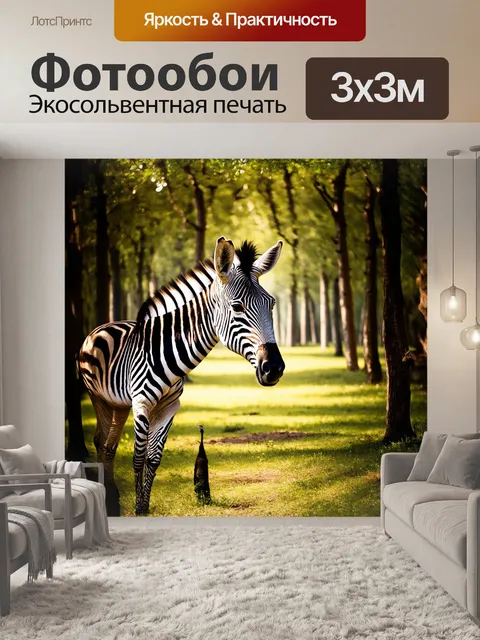 Фотообои в центре лесной поляны пестреет встреча света и тени