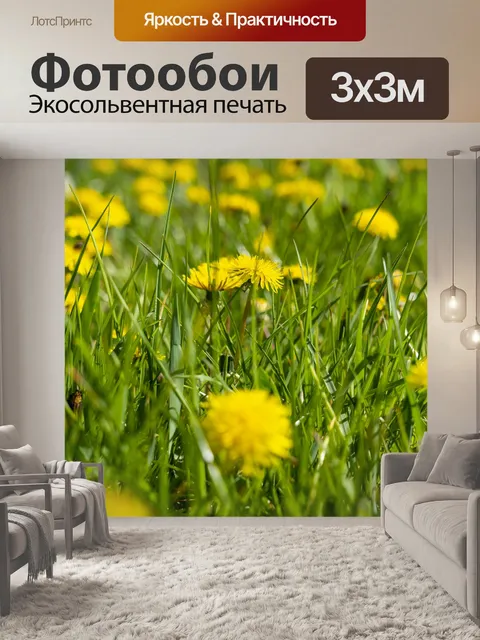 Фотообои Одуванчик
