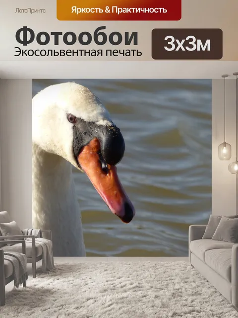 Фотообои Глава белый лебедь