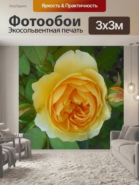 Фотообои Розы