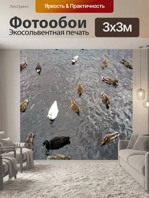 Фотообои много уток