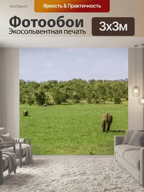 Фотообои Панорама