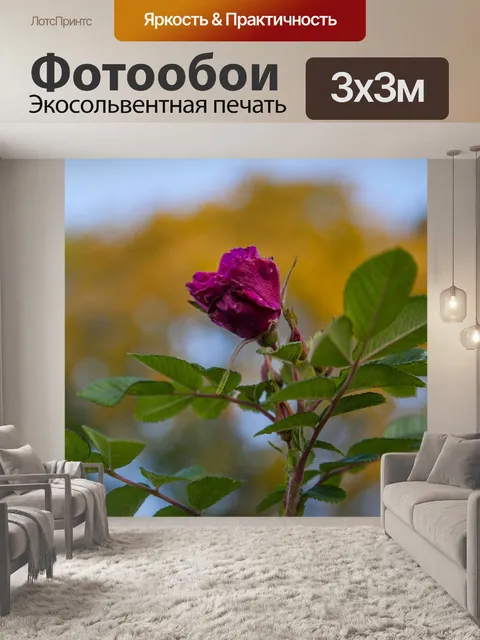 Фотообои Осень
