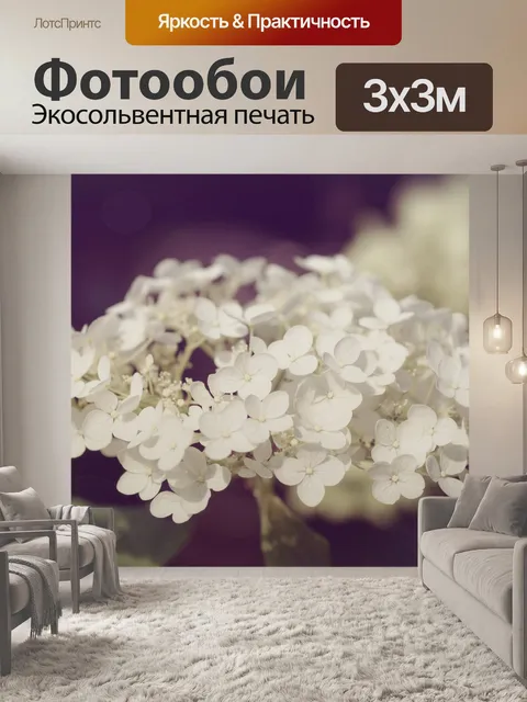 Фотообои Гортензия цветок цвести сад