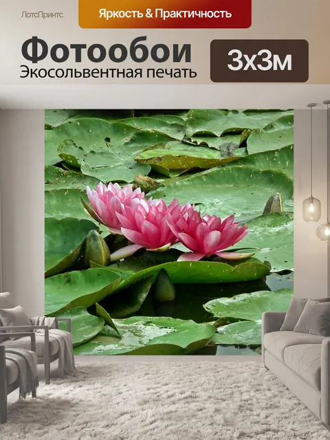 Фотообои Цветы