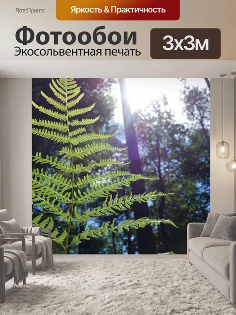 Фотообои Лес