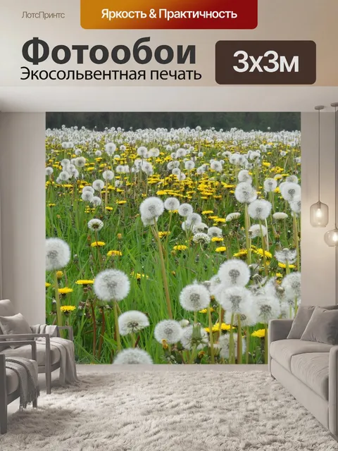 Фотообои Одуванчики