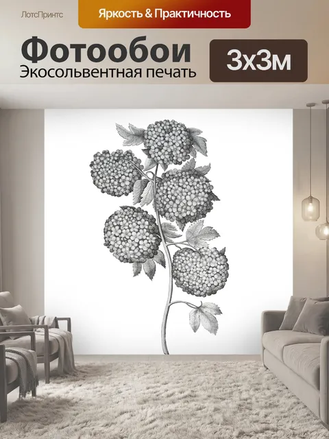 Фотообои Цветы бузины винтажное искусство
