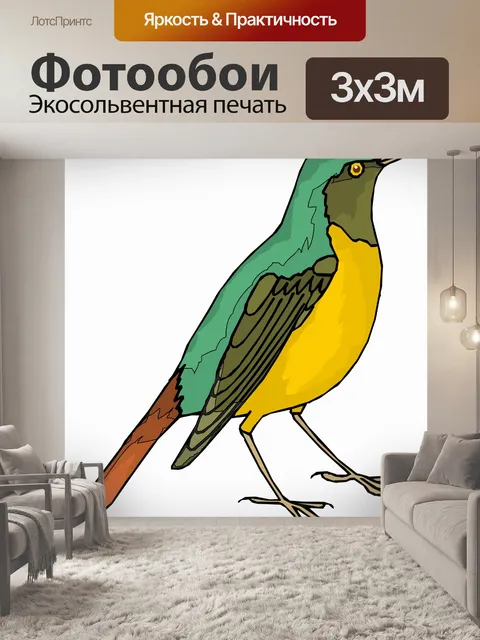 Фотообои (тропических) птицы
