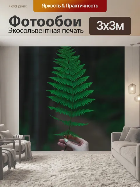 Фотообои Папоротник