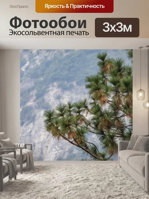 Фотообои Ветки сосны