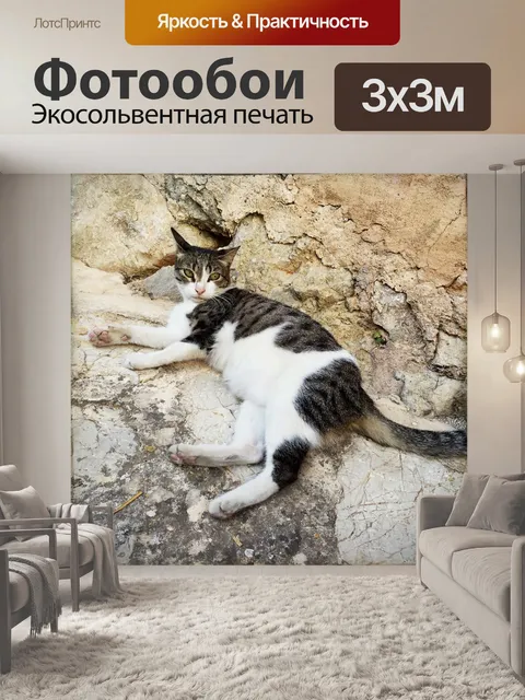 Фотообои Кот