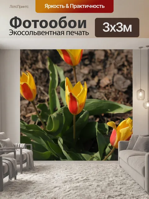 Фотообои Цветы