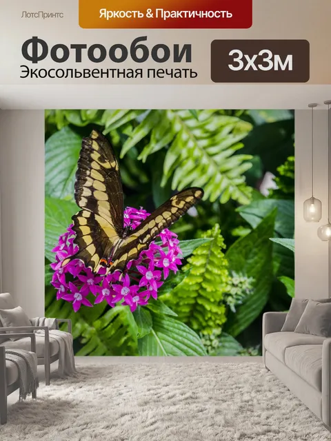 Фотообои Бабочка