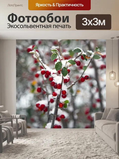 Фотообои Красные ягоды