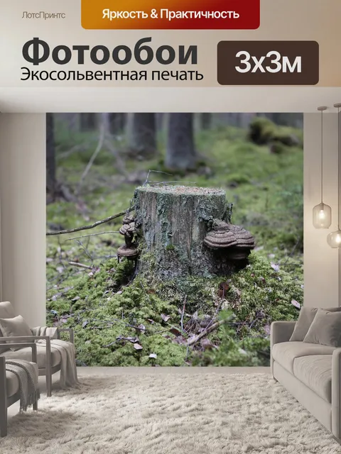 Фотообои Лес