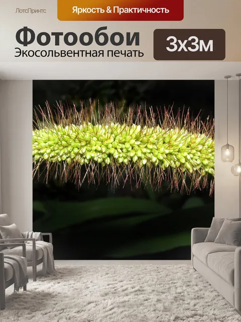 Фотообои Трава