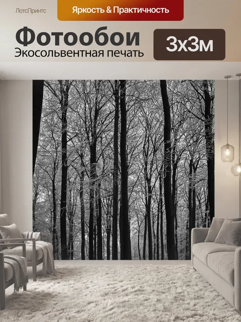 Фотообои Черно-белый