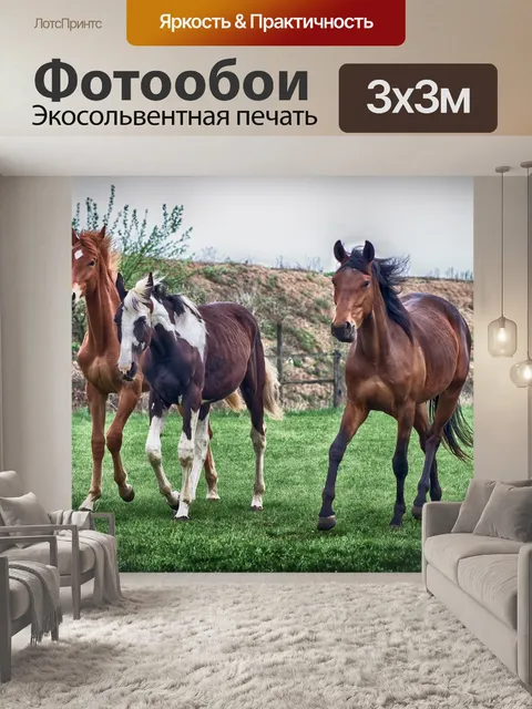 Фотообои Лошади