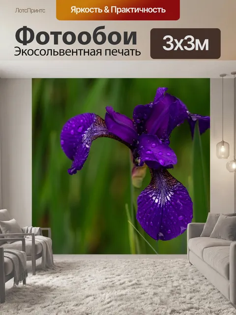 Фотообои Ирис